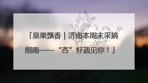 泉果飘香｜济南本周末采摘指南——“杏”好遇见你！