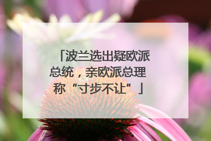 波兰选出疑欧派总统，亲欧派总理称“寸步不让”