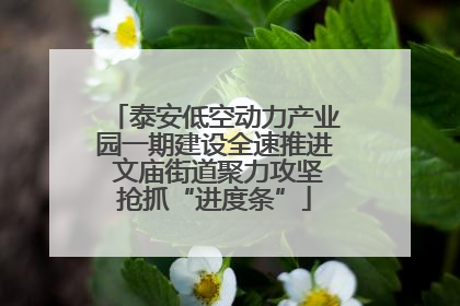 泰安低空动力产业园一期建设全速推进 文庙街道聚力攻坚抢抓“进度条”