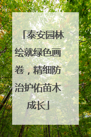 泰安园林绘就绿色画卷，精细防治护佑苗木成长