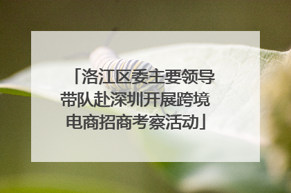 洛江区委主要领导带队赴深圳开展跨境电商招商考察活动