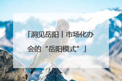 洞见岳阳丨市场化办会的“岳阳模式”
