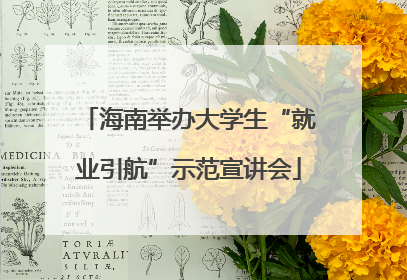 海南举办大学生“就业引航”示范宣讲会