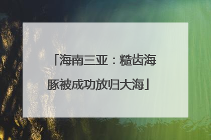 海南三亚：糙齿海豚被成功放归大海