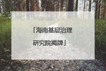 海南基层治理研究院揭牌