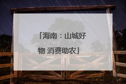 海南：山城好物 消费助农