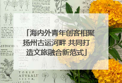 海内外青年创客相聚扬州古运河畔 共同打造文旅融合新范式