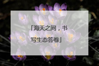 海天之间，书写生态答卷