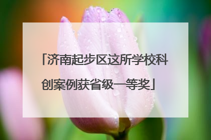 济南起步区这所学校科创案例获省级一等奖