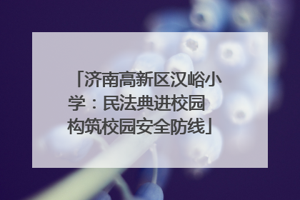济南高新区汉峪小学：民法典进校园 构筑校园安全防线