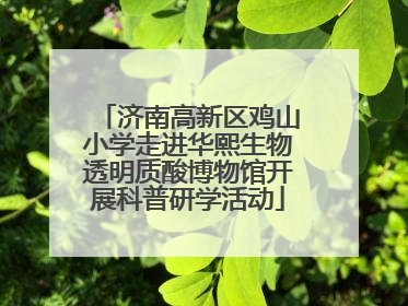 济南高新区鸡山小学走进华熙生物透明质酸博物馆开展科普研学活动