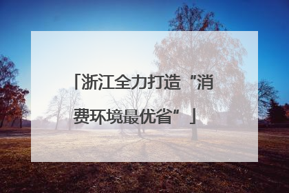 浙江全力打造“消费环境最优省”