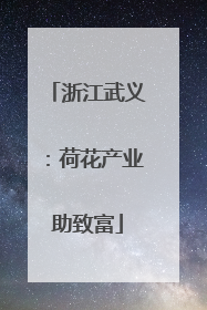 浙江武义：荷花产业助致富