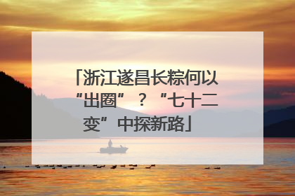 浙江遂昌长粽何以“出圈”？“七十二变”中探新路