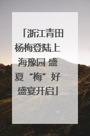 浙江青田杨梅登陆上海豫园 盛夏“梅”好盛宴开启