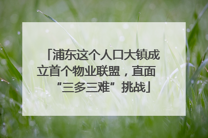 浦东这个人口大镇成立首个物业联盟，直面“三多三难”挑战