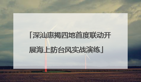 深汕惠揭四地首度联动开展海上防台风实战演练