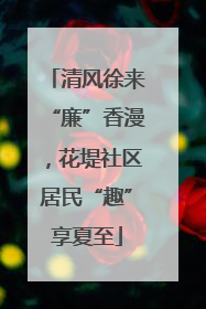 清风徐来“廉”香漫，花堤社区居民“趣”享夏至