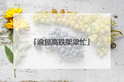 渝昆高铁架梁忙