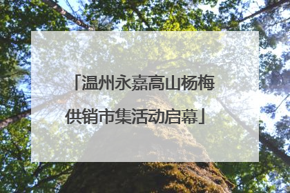 温州永嘉高山杨梅供销市集活动启幕