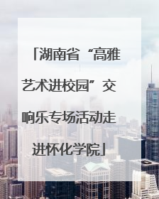 湖南省“高雅艺术进校园”交响乐专场活动走进怀化学院
