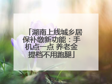 湖南上线城乡居保补缴新功能：手机点一点 养老金提档不用跑腿