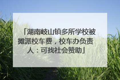 湖南岐山镇多所学校被摊派校车费，校车办负责人：可找社会赞助