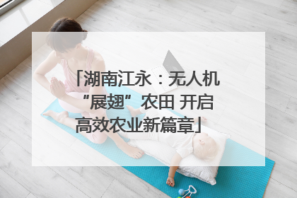 湖南江永：无人机“展翅”农田 开启高效农业新篇章