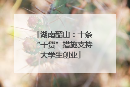 湖南韶山：十条“干货”措施支持大学生创业