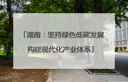 湖南：坚持绿色低碳发展 构建现代化产业体系