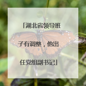 湖北省领导班子有调整，他出任党组副书记