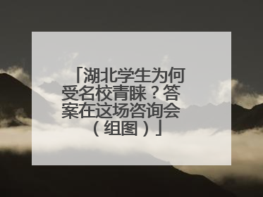 湖北学生为何受名校青睐？答案在这场咨询会（组图）