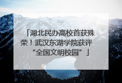湖北民办高校首获殊荣！武汉东湖学院获评“全国文明校园”