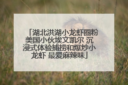 湖北洪湖小龙虾圈粉美国小伙埃文凯尔 沉浸式体验捕捞和爆炒小龙虾 最爱麻辣味