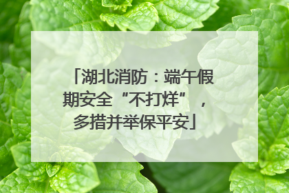 湖北消防：端午假期安全“不打烊”，多措并举保平安