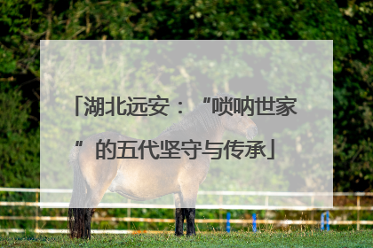 湖北远安：“唢呐世家”的五代坚守与传承