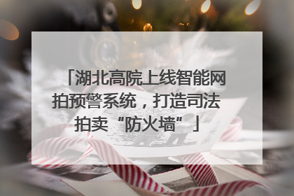 湖北高院上线智能网拍预警系统，打造司法拍卖“防火墙”