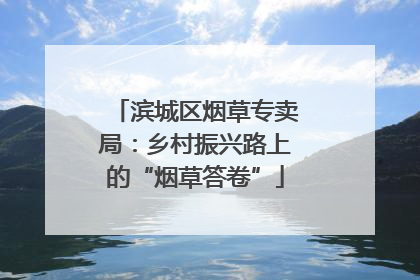 滨城区烟草专卖局：乡村振兴路上的“烟草答卷”