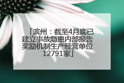 滨州：截至4月底已建立事故隐患内部报告奖励机制生产经营单位12791家