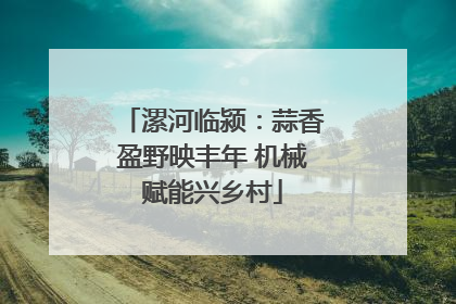 漯河临颍：蒜香盈野映丰年 机械赋能兴乡村