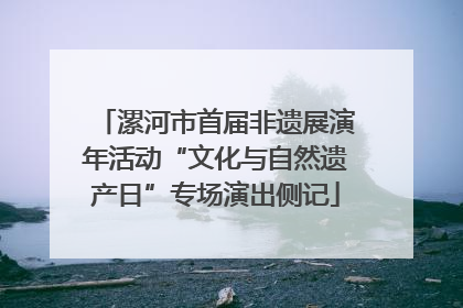 漯河市首届非遗展演年活动“文化与自然遗产日”专场演出侧记
