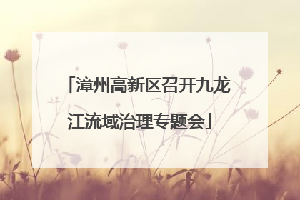 漳州高新区召开九龙江流域治理专题会
