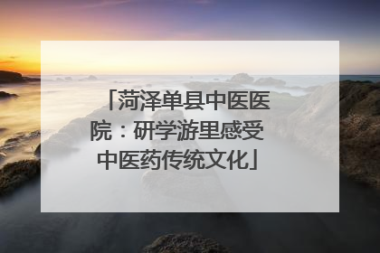 菏泽单县中医医院：研学游里感受中医药传统文化