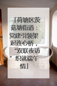 荷塘区茨菇塘街道：党建引领架起连心桥，“双联夜访”织就端午情