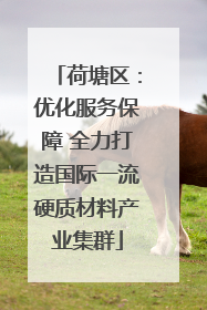 荷塘区：优化服务保障 全力打造国际一流硬质材料产业集群