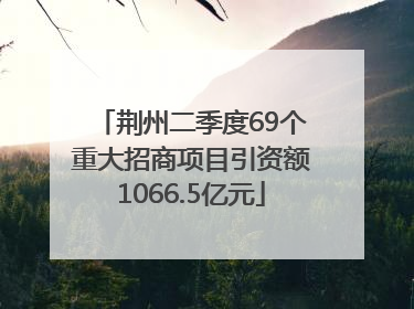 荆州二季度69个重大招商项目引资额1066.5亿元