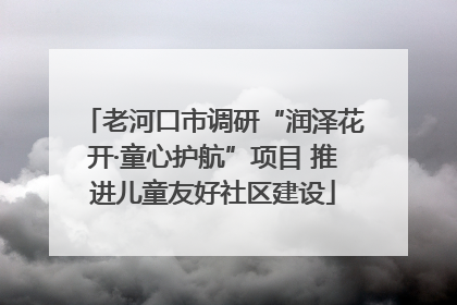 老河口市调研“润泽花开·童心护航”项目 推进儿童友好社区建设