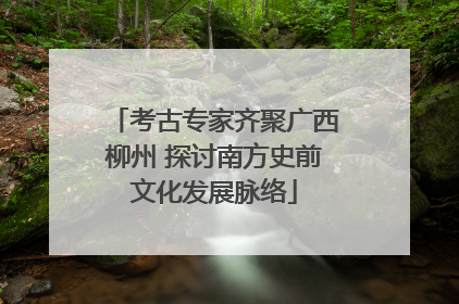 考古专家齐聚广西柳州 探讨南方史前文化发展脉络