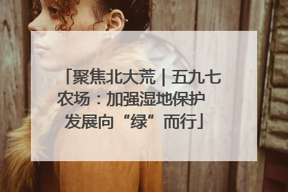 聚焦北大荒｜五九七农场：加强湿地保护 发展向“绿”而行