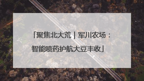 聚焦北大荒｜军川农场：智能喷药护航大豆丰收
